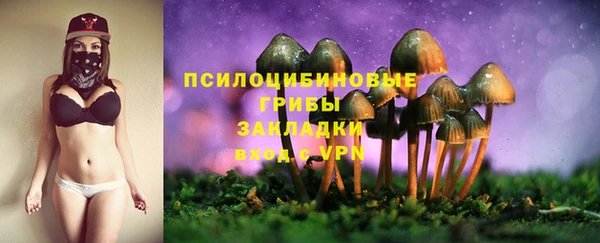дмт Каменск-Шахтинский