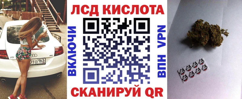 Купить закладки  Вязьма  Наркотические марки 1500мкг 